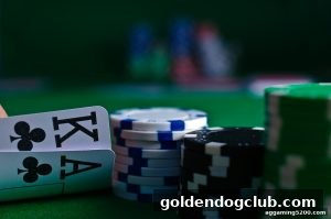 AG真人 goldendogclub