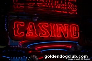 AG真人 goldendogclub