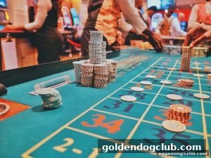 AG真人 goldendogclub