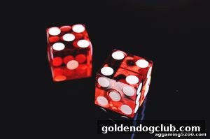 AG真人 goldendogclub